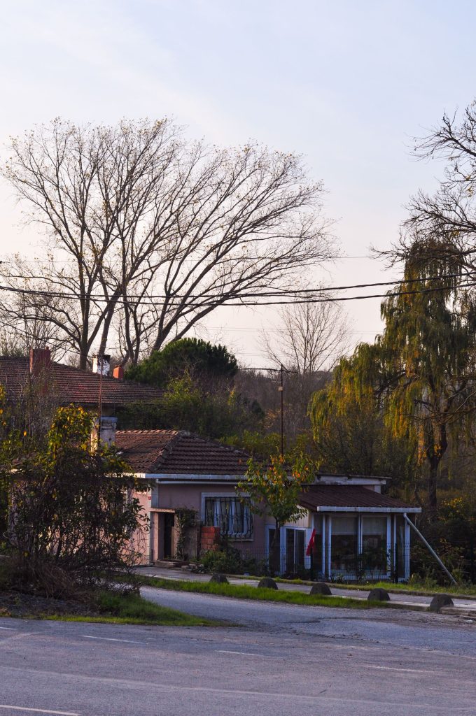 A quiet street with houses and bare trees in early spring.