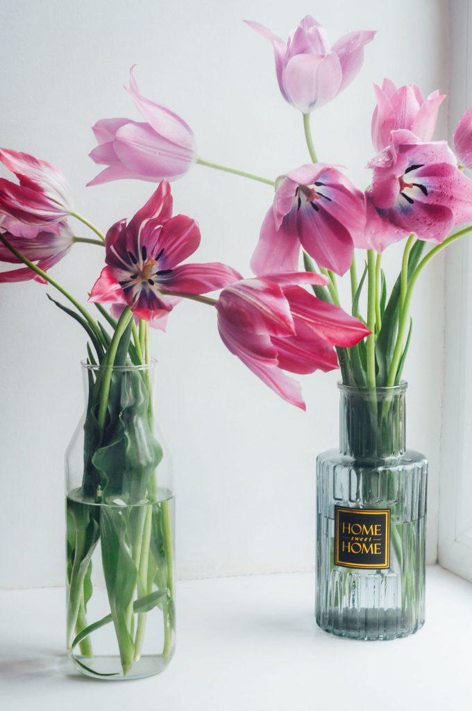 Pink tulips in glass vases on a sunny windowsill.